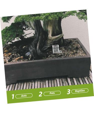 BCOATH 5pcs Pet Water Feeder Ants Habitat Water Feeding Insect Water Feeder Ants Watering Cup Plastic - Buy Online on SooperMarket.com
