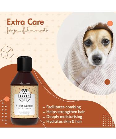 Buy Belly Vegan Dog Shampoo & Conditioner - 250ml | Guava & Cucumber - Long Hair & Odor Control for Dogs & Puppies - Buy Online on SooperMarket.com