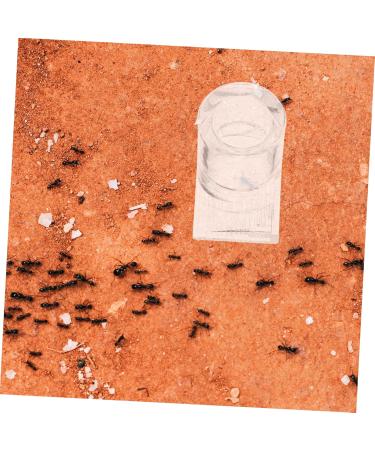 Balacoo 2pcs Ant Water Feeder ant Habitat Science ant Farm nest ant Castle ant Farming Castle ant Colony - Buy Online on SooperMarket.com