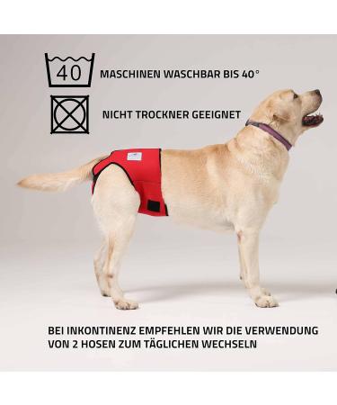 Buy High-Quality Financial Trousers for Dogs 2.0 - Premium Neoprene Diapers for Males - Optimal Airflow No Rod Threading - Large Blue - Buy Online on SooperMarket.com