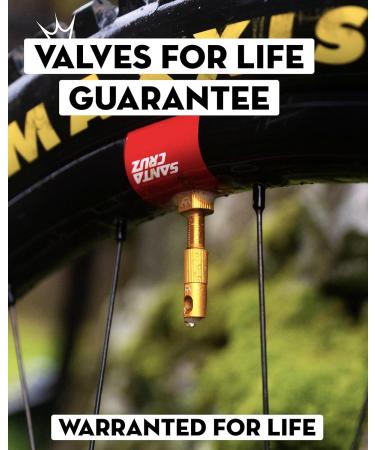 Peatys X Chris King MK2 Tubeless Valves - 42mm Black Bicycle Tire Valves | Premium Performance - Buy Online on SooperMarket.com