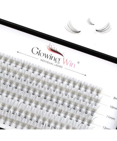 Glowing Win individual eyelashes Individual cluster lashes natural 120 PCs DIY eyelash extensions for home single eyelashes Wispy false eyelashes naturally eyelash extension (0.07c 10d Mix8-14mm) 6-0.07c-10d-8-14