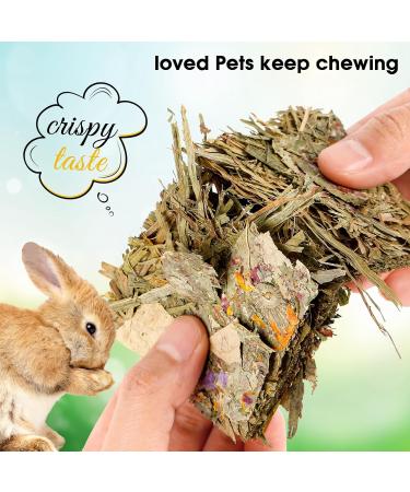 Abiz Rabbit Kielzeug Set - 10 Natural Timothy Hay Toys & Herb Treats for Dwarf Rabbits Guinea Pigs and Hamsters - Buy Online on SooperMarket.com