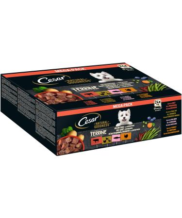 Cesar NATURAL GOODNESS Premium wet dog food in a bowl Grain-free with superfoods in 4 varieties Megapack 24x100g