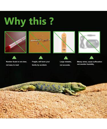 LCD Digital Reptile Thermometer Hygrometer - Ideal for Reptile Terrariums - Works with Heat Pads - Perfect for Turtles, Snakes, Lizards, Frogs, Spiders, and Plants - Buy Online on SooperMarket.com