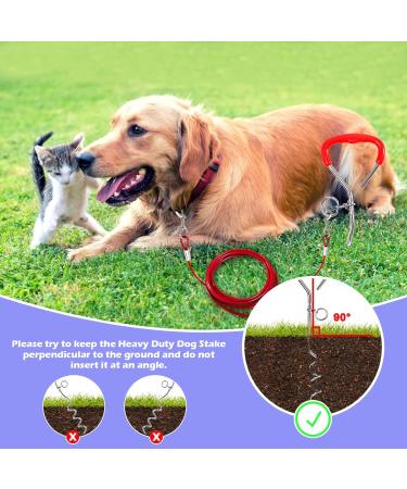 JETOP Heavy Duty Dog Stake & 10 ft Dog Chains Steel Spiral Ground Dog Spike for Outdoor Yard and Camping Dog Camping Accessories for Puppy Pet and Medium Dogs (176 lbs of pull) (Red) - Buy Online on SooperMarket.com