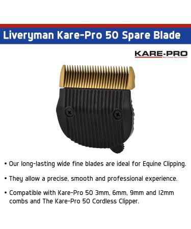 Liveryman Classic Spare Blade 1 Count (Pack of 1) - Buy Online on SooperMarket.com