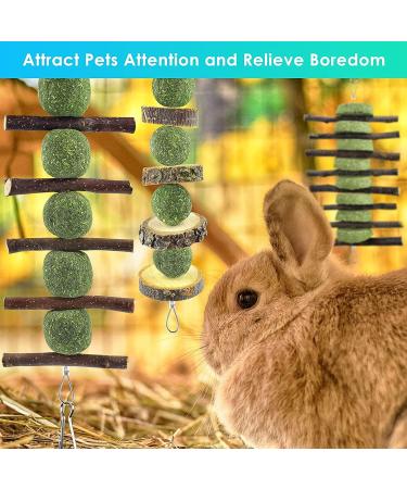 Erkoon Natural Timothy Hay Rabbit & Small Animal Chew Cubes | Dental Care Treats for Hamsters Chinchillas Guinea Pigs & More - Buy Online on SooperMarket.com