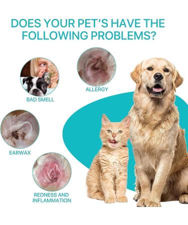 Kurchugo Dog Ear Cleaner Ear wash for Dogs & Cats Dog Ear Powder for Hair Removal Pet Ear Infection Treatment Effectively Removes Debris Waxy Buildup and Ear Odor Soothes Itchy & Inflamed Ears - Buy Online on SooperMarket.com