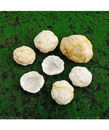 Pair of Agate Geode Natural Reiki Rock Used for Clarity and Purpose Crystal Cluster Gemstone Specimen for Ornaments D cor Artwork Gifts 100-200g Gift (Size : 200-260g) - Buy Online on SooperMarket.com