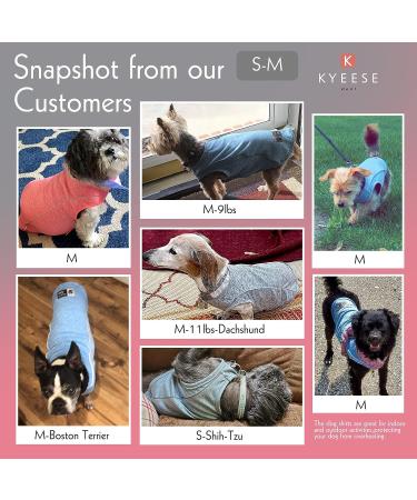 KYEESE Reflective Quick Dry Dog Shirt | Lightweight Soft Breathable Vest for Small Medium Dogs | Blue | 14 Chest - Buy Online on SooperMarket.com