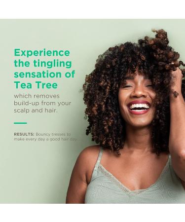 Soapbox Tea Tree Shampoo - Sulfate, Paraben, and Silicone Free, Color Safe, Vegan Hair Shampoo - 33.8 oz - Buy Online on SooperMarket.com