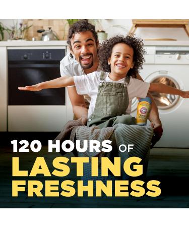 Shop Arm & Hammer In-Wash Scent Booster - Cool Woods 24oz | Enhance Your Laundry with Long-Lasting Freshness | International Shipping Available - Buy Online on SooperMarket.com