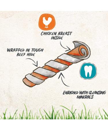8in1 Pro Dental Twisted Sticks - healthy chew sticks for dogs for dental care 35 pieces (pack of 1) Dental 190 g (Pack of 1) - Buy Online on SooperMarket.com