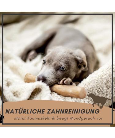 Supravit Natural Coffee Wood Chewing Bones for XS Puppies | Long-Lasting Play & Excitement | Caustab Puppy Chew Toys - Buy Online on SooperMarket.com