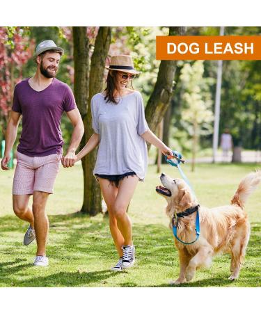 Favofit Locking Carabiner Clips 4 Pack - Heavy Duty 12KN Carabiners for Camping, Hiking, Outdoor & Gym - Small Black Carabiners for Dog Leash & Harness - Buy Online on SooperMarket.com