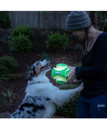 Chuckit! CH32300 Kick Fetch Max Glow Small Green - Best Interactive Dog Toy for Nighttime Play | International Shipping Available - Buy Online on SooperMarket.com
