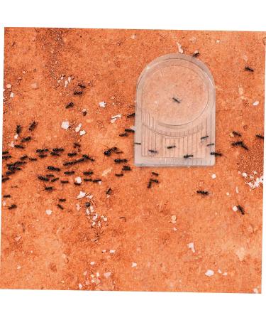 VILLCASE 4 Pcs Ant Water Feeder Mini Water Dispenser Ant Drinking Tools Ant Water Drinking Bowl Pet Ant Nest 4x4cmx2pcs Transparent Colorx2pcs - Buy Online on SooperMarket.com