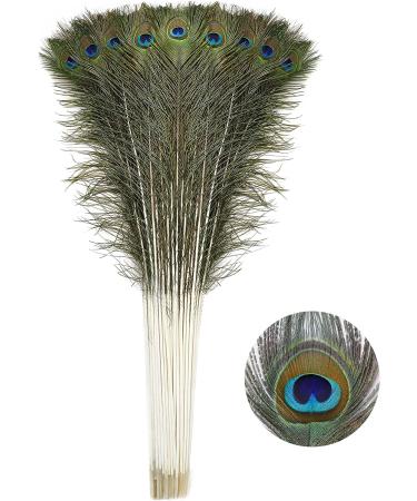 Soarer Long Peacock Feathers Bulk - 25pcs 32-35 inches for Vase, Holiday Decoration & DIY Crafts - Buy Online on SooperMarket.com
