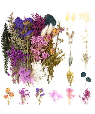 Vignee Real Dried Pressed Leaf Flowers-Multiple Colorful Pressed Flowers Daisies for Craft Resin Jewelry Making Art Craft DIY(Violet)