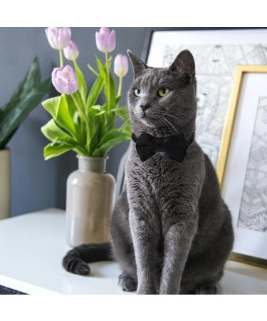Personalized Cat Collars with Bells - Adjustable Pet Safety Collars for Small Dogs & Cats - 2 Pack in Red & Black - Buy Online on SooperMarket.com