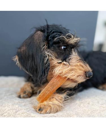 Carnello Puppy Treats - Grain-Free Chewing Bones for Dogs - Chicken Flavor 60g (1 Pack) - Healthy Dog Chews - Buy Online on SooperMarket.com