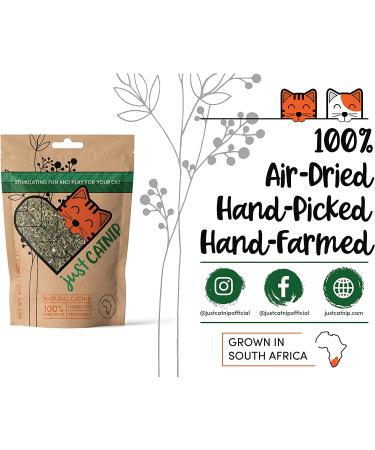 Premium Natural Catnip for Cats - Sustainably Grown in South Africa - Ethically Made Toy & Treat - Maximum Potency (1.05oz) - Buy Online on SooperMarket.com