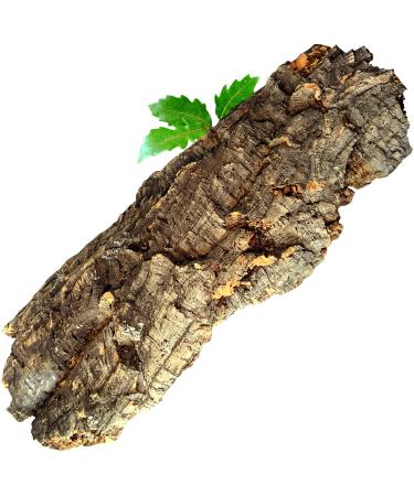 XL Cork Bark 20 x 50 cm - Flat Piece (Rodent Reptile Decoration Modelling Model Railway Scenery) Cork Wood Tree Oak | Cleaned & sanitised