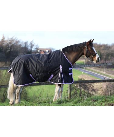 AUTUMNN EQUESTRIAN 50G FILL HORSE TURNOUT RUG LIGHTWEIGHT STANDARD NECK HORSE RUG WATERPROOF 600D HORSE RUG (5'9'') - Buy Online on SooperMarket.com