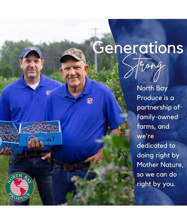 North Bay Produce Dried Blueberries - Gluten Free, Vegan, Healthy Snacks - 5oz Resealable Bag - Kids and Adults Friendly - Buy Online on SooperMarket.com