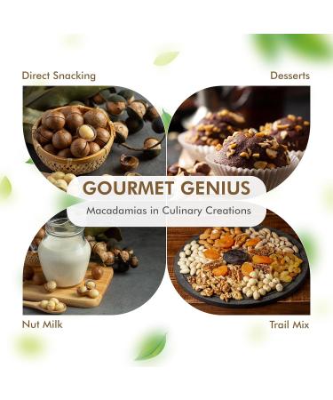 CAREEMZ Raw Macadamia Nuts (Unflavoured) - Malawi's Finest Gourmet Snack, Nutritious, Keto Friendly, Vacuum Sealed for Freshness - 450g - Buy Online on SooperMarket.com