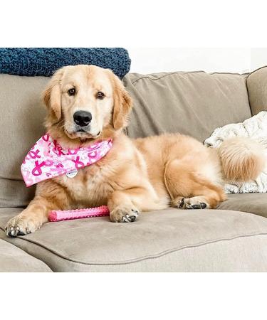 Nylabone Power Chew Breast Cancer Awareness Pink Dog Toy - Chicken Souper Chew - Buy Online on SooperMarket.com
