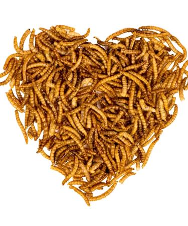 Lyra PET |2 kg mealworms |Ideal for decorative and pond fish |Gently dried |Prote -rich fish feed |Rich in vitamins & minerals |Nutrient -rich energy source for KOI