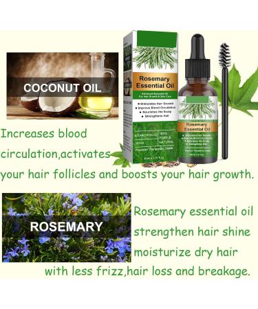 Rosemary Oil for Hair Growth 60ml Hair Oil Diminishes Signs of Aging Nourishes the Scalp Strengthens Hair Stimulates Hair Growth Treat Dry Damaged Hair Rosemary Essential Oil for Hair Growth 2 Brush 30ml - Buy Online on SooperMarket.com