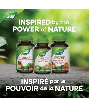 Nature's Way Astragalus Root Iummune System Support Value Size 180 Vegetarian Capsules 180 count (Pack of 1) - Buy Online on SooperMarket.com