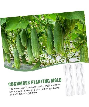 Milisten Horticulture 3pcs Vegetable Shaping Mold Strawberry Garden Tools Cucumber Molds As Shown 20x6cm - Buy Online on SooperMarket.com