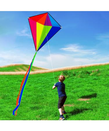 HENGDA KITE Prism Dinosaur Park & Diamond Kite Set - Easy-to-Fly for Kids & Adults - Excellent Fabric - Two Sets in Individual Packaging - Accessories Included (23x27in) - Buy Online on SooperMarket.com