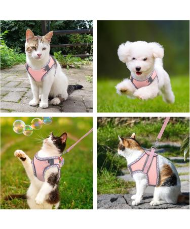 Brifit Cat Harness and Lead Set | Soft Mesh Adjustable Reflective Vest for Small Cats | Escape-Proof Kitten Harness with Leash | Pink XXS - Buy Online on SooperMarket.com