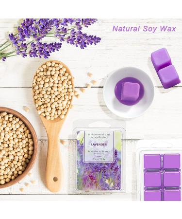 La Bellefe Lavender Scented Wax Melts - Natural Soy Wax Cubes for Warmers - Gift Set for Birthdays, Weddings, Parties, Spa & Meditation (2.5oz/70.9g*2) - Buy Online on SooperMarket.com