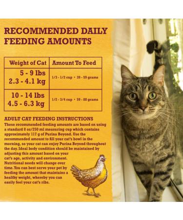 Purina Beyond Natural Limited Ingredient Cat Food - White Meat Chicken & Oat Meal 6 lb Bag - Buy Online on SooperMarket.com
