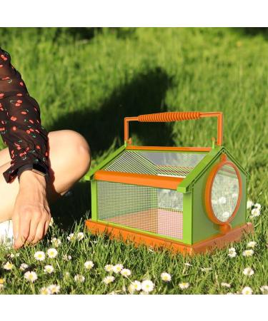 Portable Butterfly Habitat Cage Critter Caterpillars Outdoor Green Orange - Buy Online on SooperMarket.com