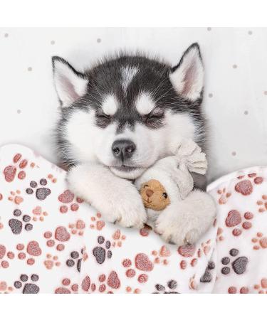 Pedgot Fluffy Dog Blankets with Paw Print - Set of 4 | Soft & Warm Pet Throw Blankets for Small Dogs & Cats | Brown/White/Pink | 24 x 16 & 30 x 20 Inches - Buy Online on SooperMarket.com