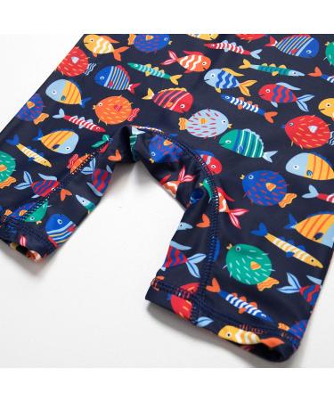 Bonverano Baby Boys Swimsuit | UPF 50+ Short-Sleeve One Piece Swimwear | Colorful Fish Design | 2-3 Years - Buy Online on SooperMarket.com