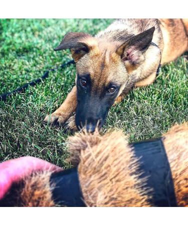 DogBone RealHide Deer Hide Drag for Tracking Dog Training - Buy Online on SooperMarket.com