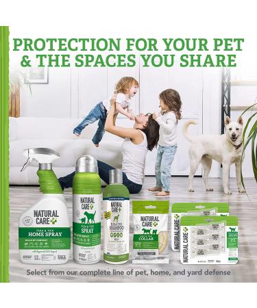 Natural Care Flea and Tick Spray for Dogs and Cats | 14 oz | Certified Natural Oils | Flea Treatment and Prevention - Buy Online on SooperMarket.com