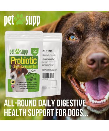 PetSupp Probiotics for Dogs Good Stomach & Gut Health 120 Probiotic Tablets Handy Re-Sealable Bag. - Buy Online on SooperMarket.com