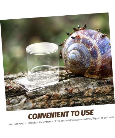 HAPINARY Pet Water Feeder Ant Waterer for Garden Ant Watering Station Ant Nest Supplies Transparent Plastic - Buy Online on SooperMarket.com