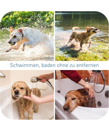 Dewel 63.5cm Adjustable Waterproof Tick Collar for Dogs - Ultimate Flea & Tick Prevention Neck Band in Gray - Buy Online on SooperMarket.com