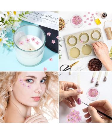 Timtin 100 Pcs Natural Forget Me Dried Flowers for DIY Jewelry, Candle, and Card Making - Real Pressed Flowers for Resin Ornaments and Nail Art Decorations (Pink) - Buy Online on SooperMarket.com