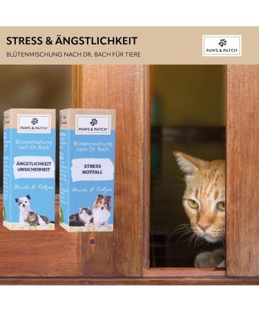 Paws & Patch Set: Dr. Bach Flower Mix for Stress & Anxiety in Dogs & Cats - 10g | Natural Relief for Fear & Stressful Situations - Buy Online on SooperMarket.com